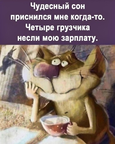 Sunsun в LOOKY. . 