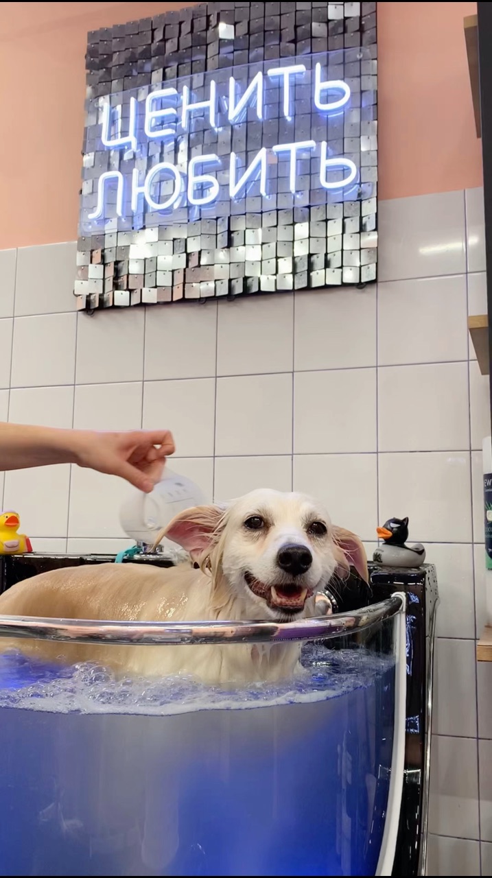 me_my.groom в LOOKY. . 🤩Какой комплекс выб...