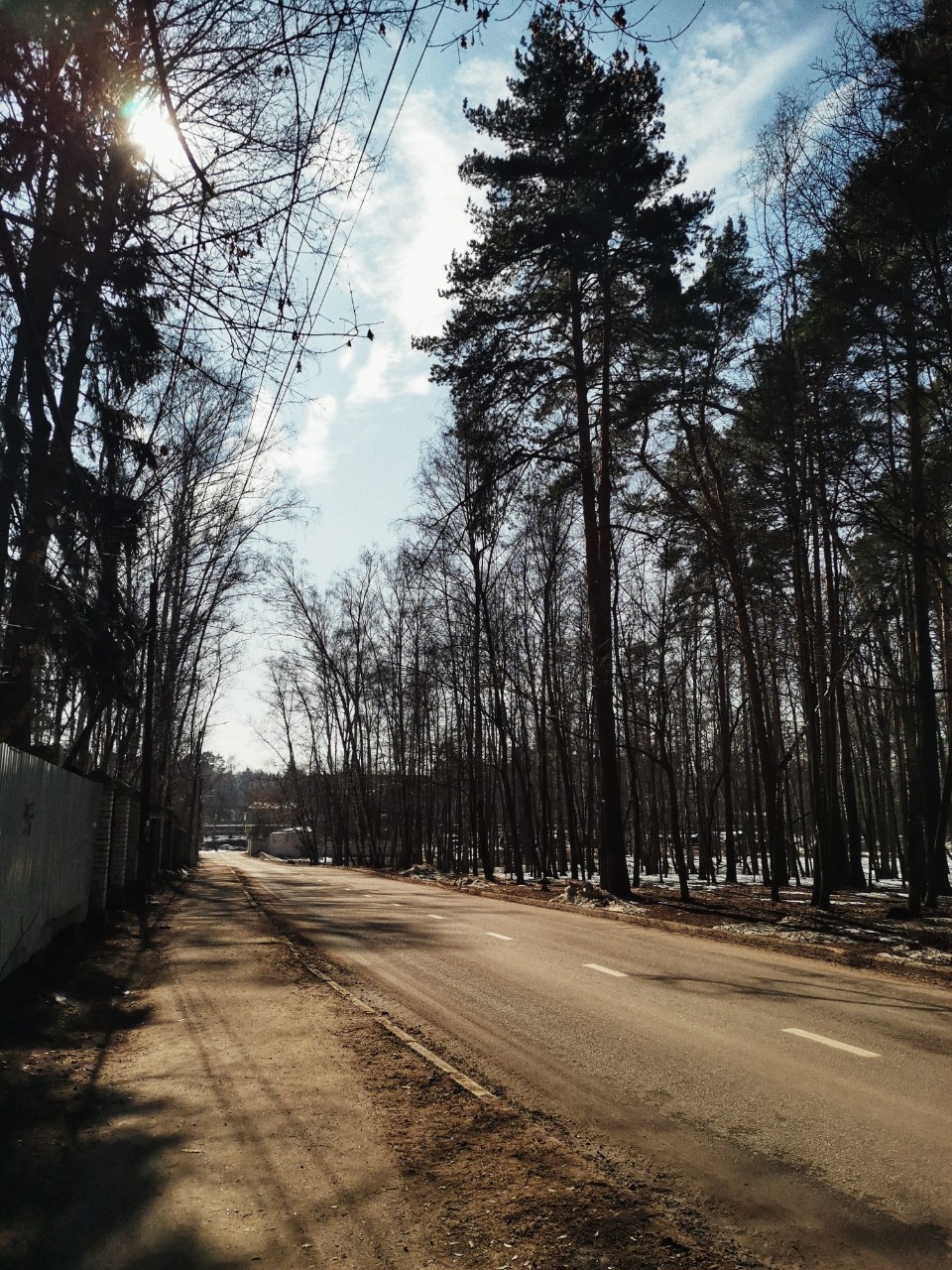 sakura1315 в LOOKY. #весна,#апрель,#солнечныйдень,#photo,#spring,#april,#nature,#looky,#looky_Top,#looky_official. ✨ Солнечный день ☀️
...