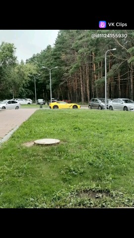 Рассветный Пушистик в LOOKY — публикация