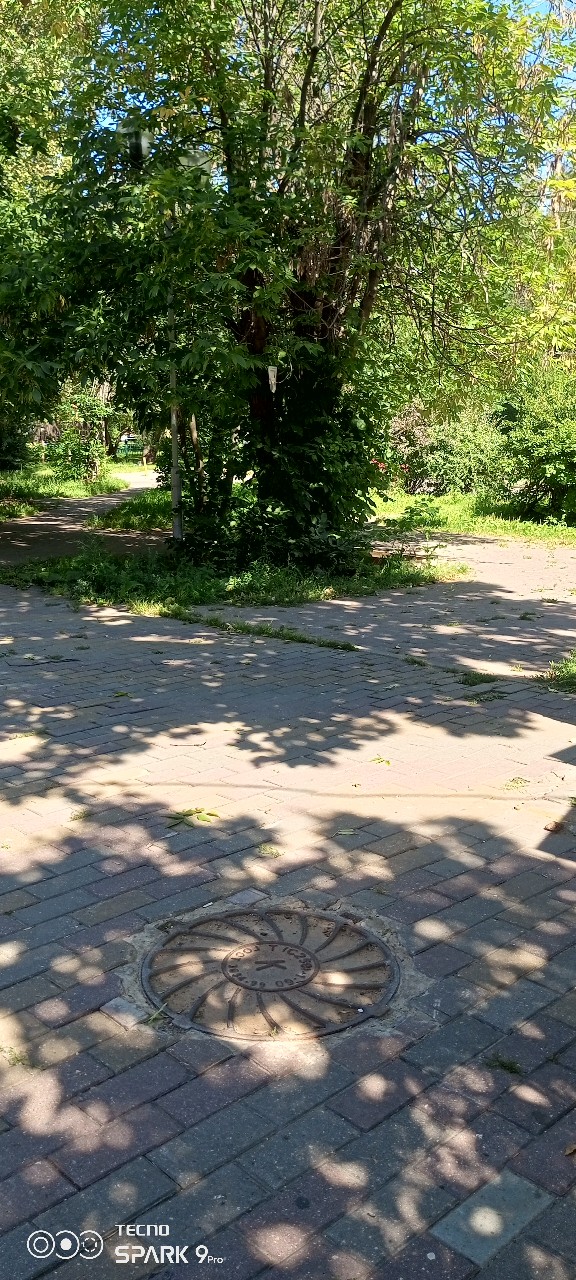 Olguita в LOOKY — публикация