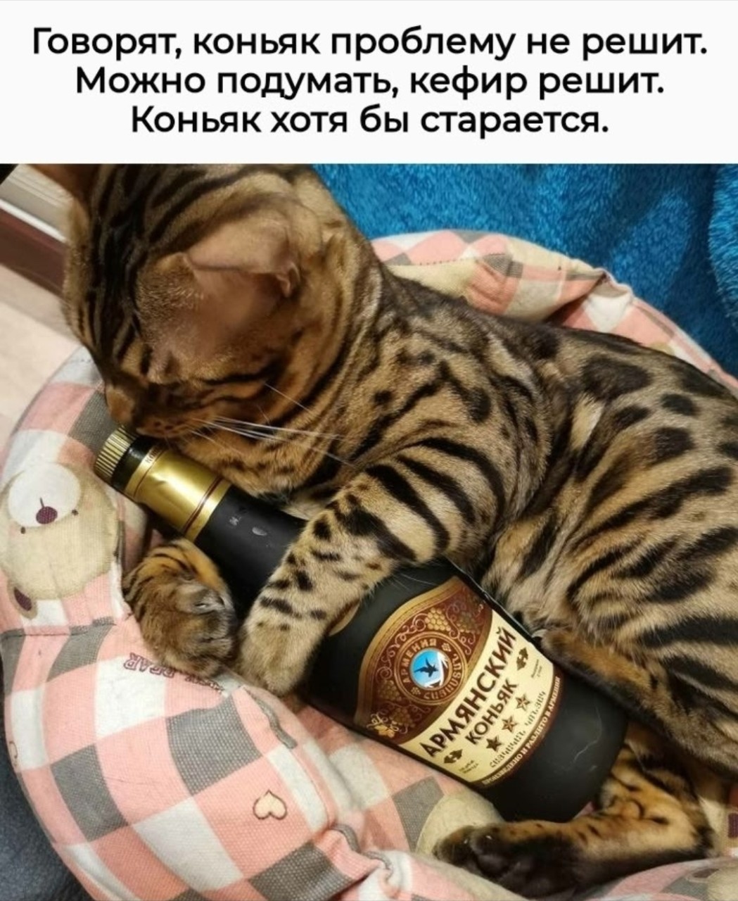Maikl7171 в LOOKY — публикация