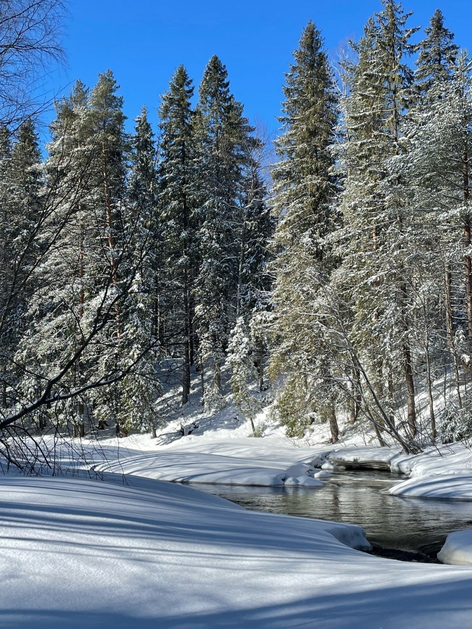 Виктор в LOOKY. #зима
#карелия,#karelia,#karjala,#живувкарелии,#природа,#природакарелии
#looky,#looky_official,#LOOKY_контент,#looky_you,#you,#looky_топ. ❄️Карелия🌲Karjala❄️...