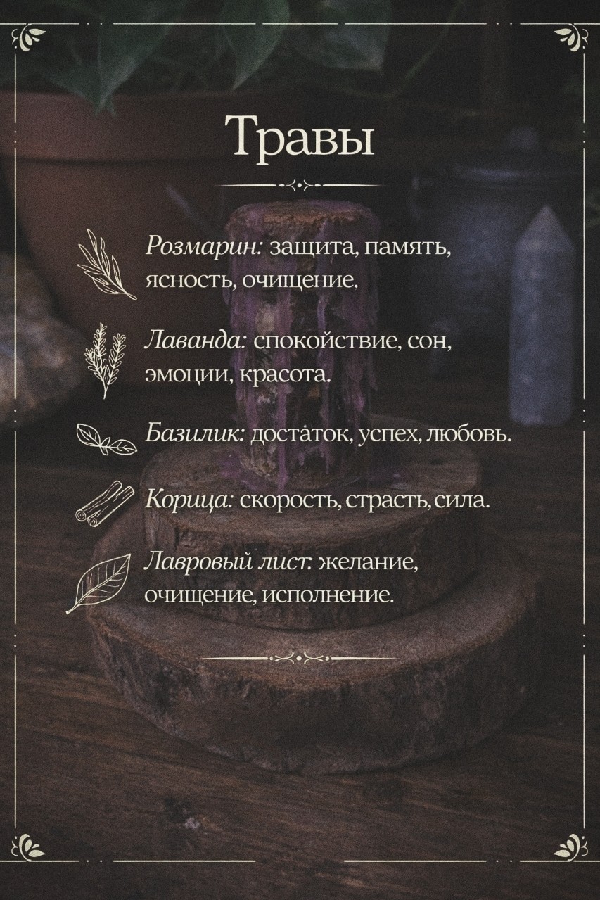 ТАРО_Фан
