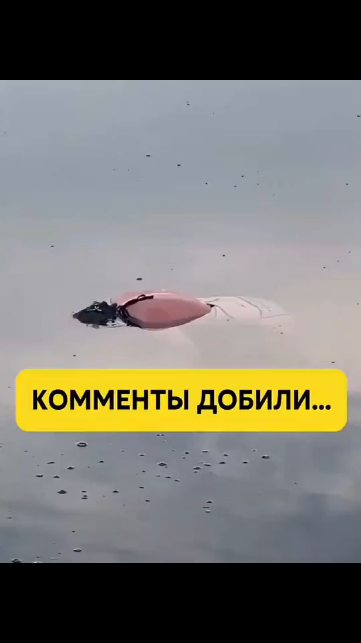 Looky_1696022253916 в LOOKY. . Света на рыбалке