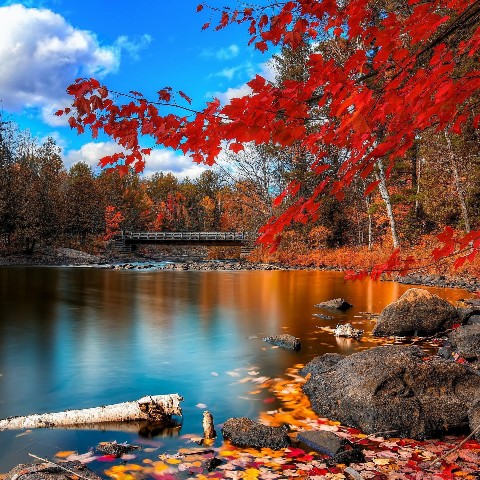 behnaz в LOOKY. #family,#bestplace. my favorite season i...