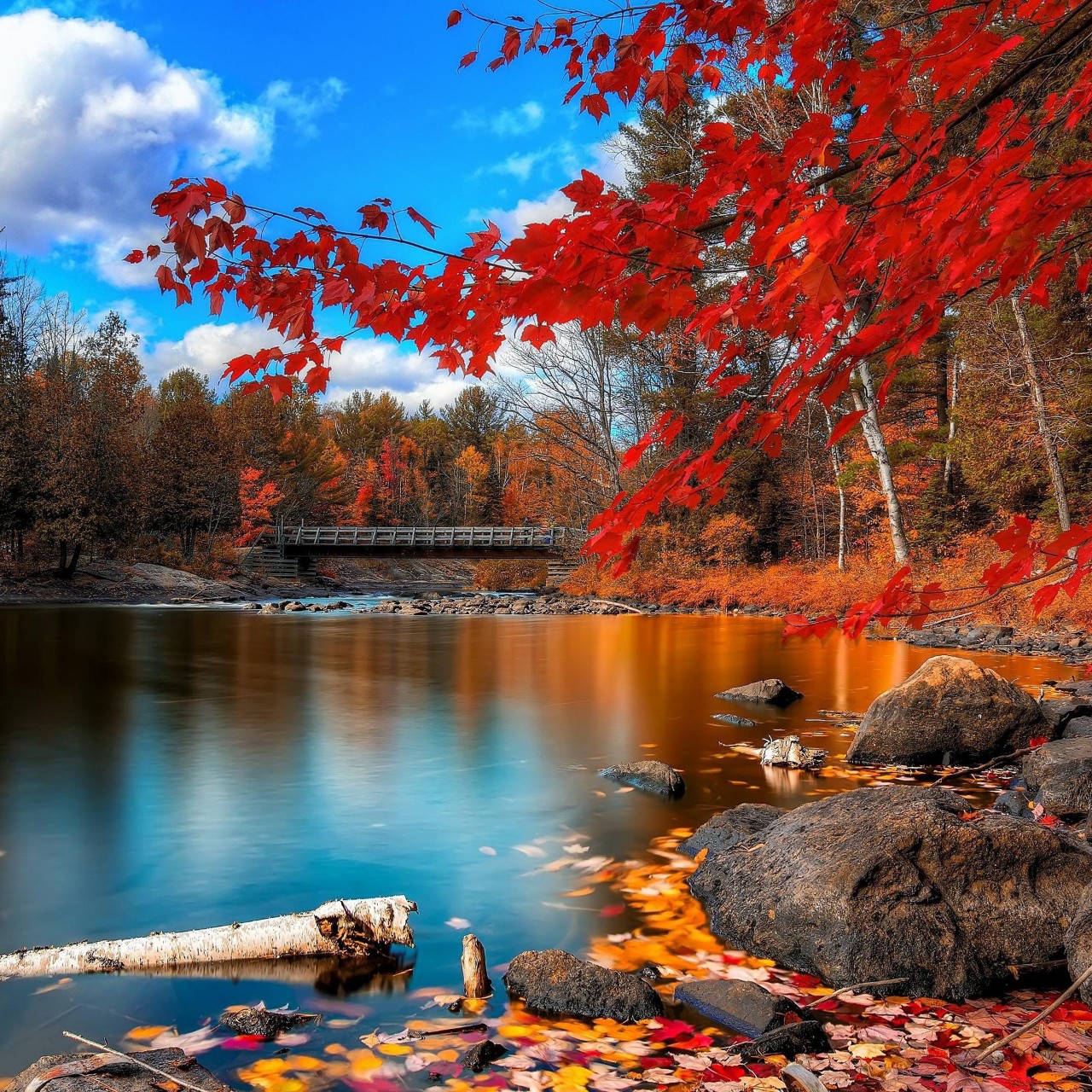 my favorite season is Autumn 🧡💛❤🤎



[#autumn](autumn) [#seasons](seasons) [#leaf](leaf) #family [#fantasy](fantasy) [#world](world) [#picture](picture) [#dream](dream) #bestplace