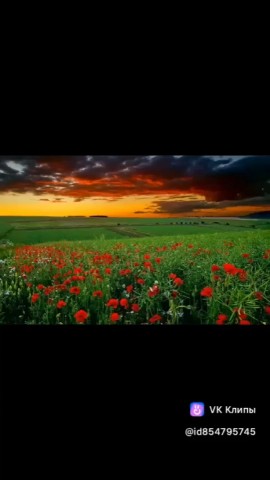 Looky_178867172832457. в LOOKY. . 