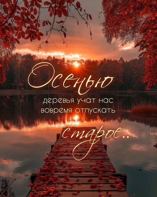 Ты можешь по собственному желанию наполнить свой мир: добром или злом,
алчностью или бескорыстием, агрессией или миром, равнодушием или милосердием; помни только - что оставляешь на пути своем, то и встречается на нем.
                💜💜💜