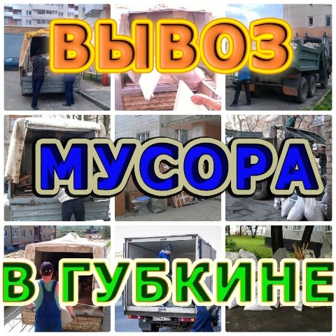 Looky_1711118420113 в LOOKY. . 🗑🚛 Готовы освободи...