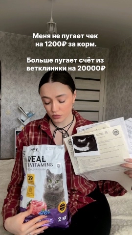 lifestyle influencer  блогерств в LOOKY. #233855851. Шерсть тусклая, аппе...