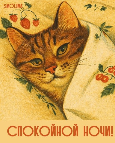 Дина в LOOKY. . 