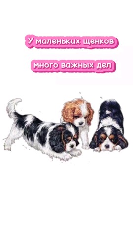 puppengame in LOOKY