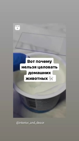 Игорь Борисович в LOOKY. #собаки#зараза#бактерии#поцелуи. #собаки#зараза#бакте...