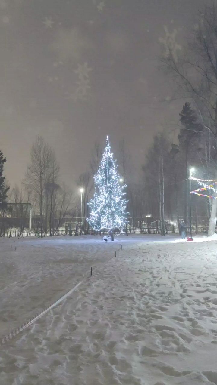 OlechkaV в LOOKY. #каток,#елка,#лед,#снег,#зима2025,#лес,#лесопарк. Покатались на конька...