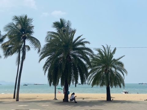 dimyen в LOOKY. . Pattaya