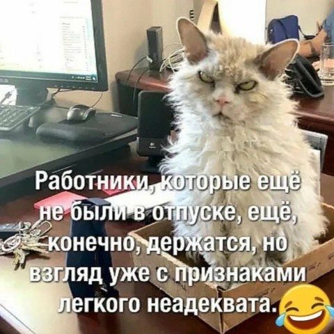 Looky_174136437479261 в LOOKY. . Прайд, берем отпускн...