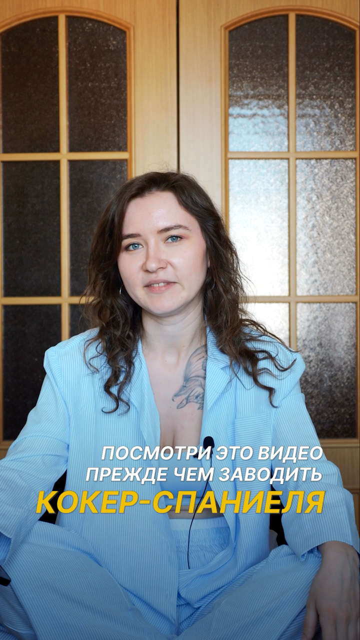 Оля и Йоки в LOOKY. #232465954,#ОО1,#собака. Ну как, не передумал...