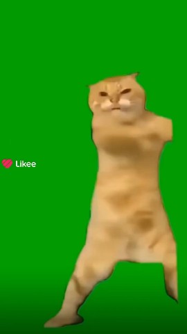 Солнечный Вете in LOOKY. . Хахаха 😂