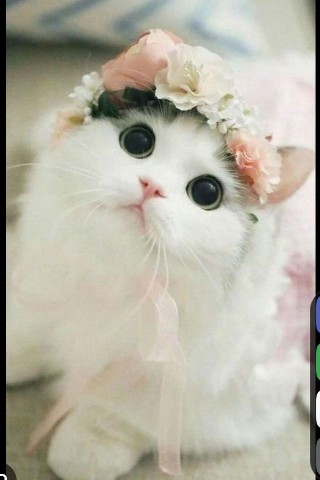Love751 в LOOKY. . 
