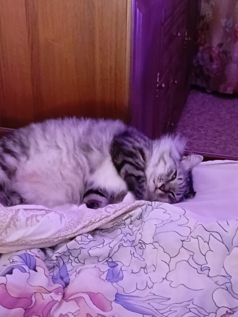 Татьяна Рогушина в LOOKY — Скоро смену сдавать 🤣