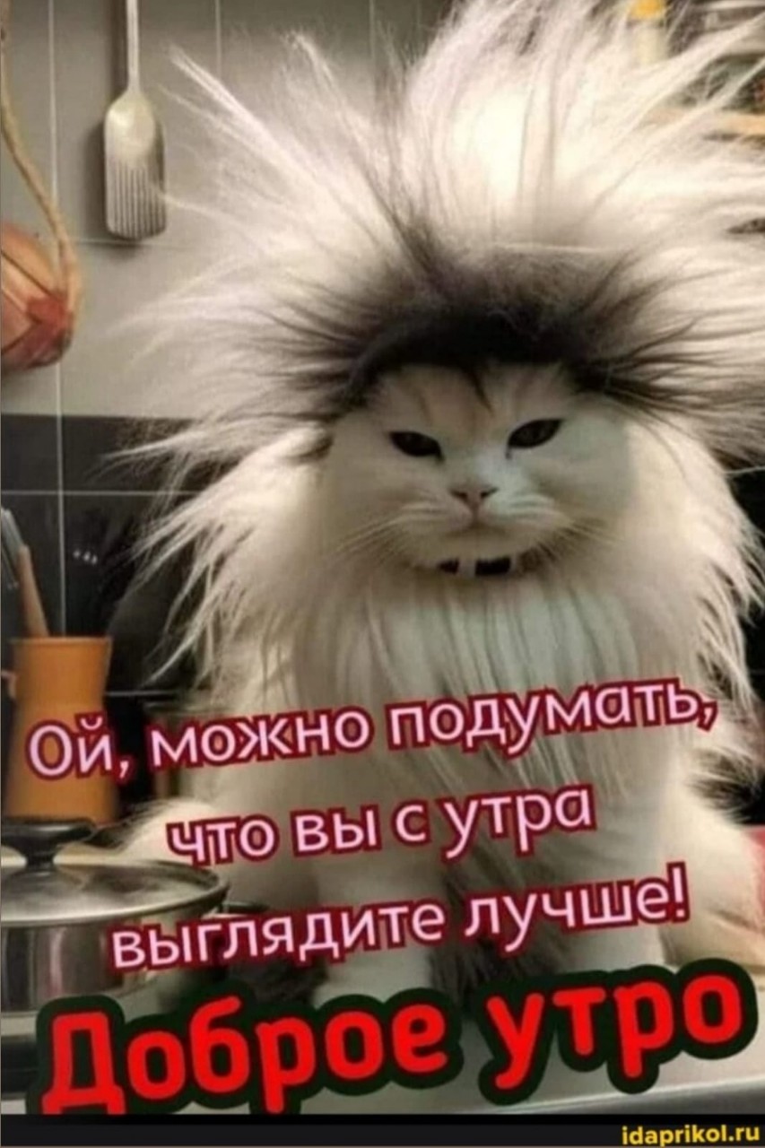 Olika_Draggon в LOOKY — С добрым утром!!!
И пусть сегодня будет меньше электричества