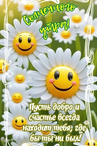 alexivanoff13071985 в LOOKY. . 