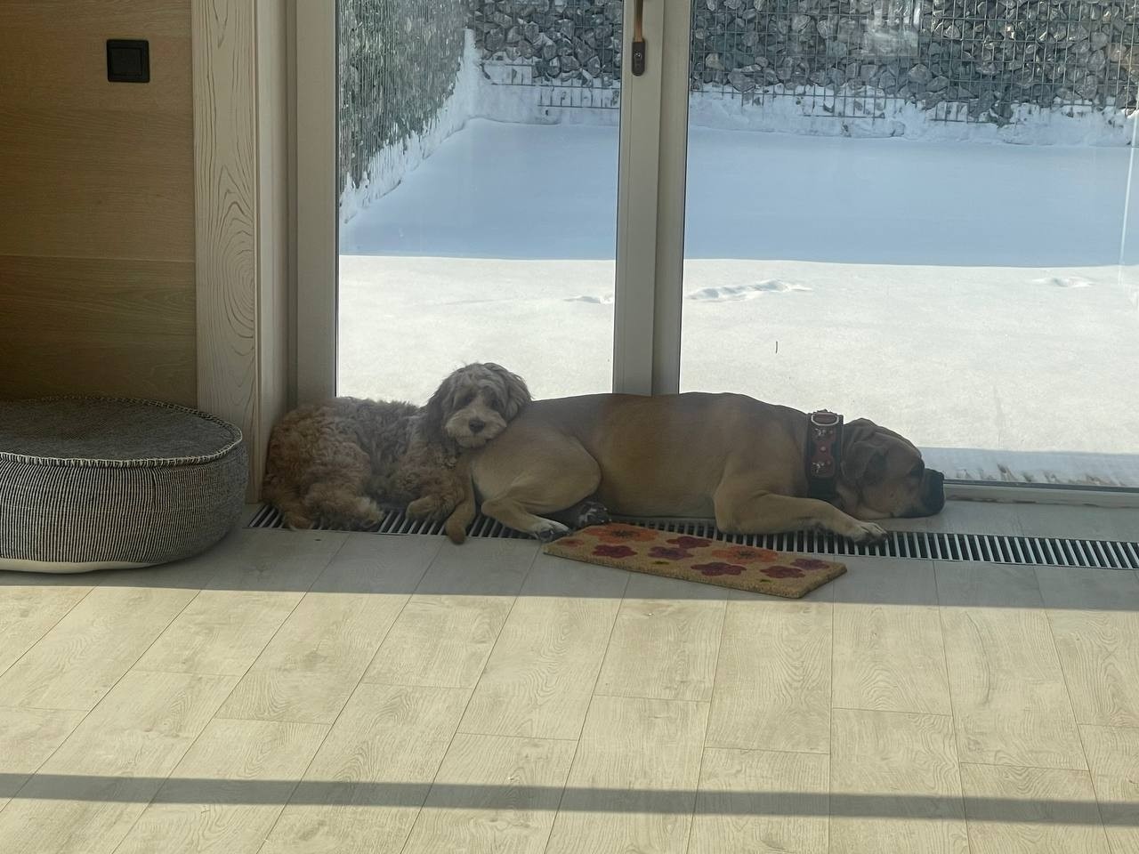 anbarinova в LOOKY. . Кадебошная попа - лу...