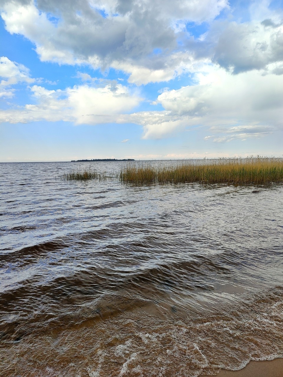 Виктор в LOOKY. #лето
#карелия,#karelia,#karjala,#живувкарелии,#летовпетрозаводске
#petroskoi,#petrozavodsk,#петрозаводск,#природа,#природакарелии,#photonature,#naturephoto
#looky,#looky_official,#LOOKY_контент,#looky_you,#you,#looky_топ. Карелия💙Karjala 
Он...