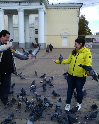 _larisa_sun_ в LOOKY. . Ручные голуби.