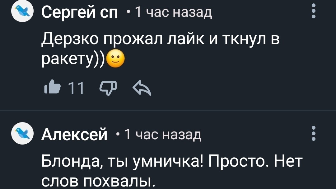 mama.na.shpilke в LOOKY — фото 3