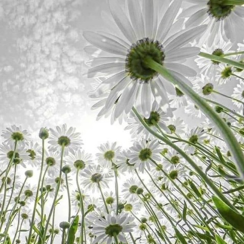 Tatiana18 в LOOKY. . 
