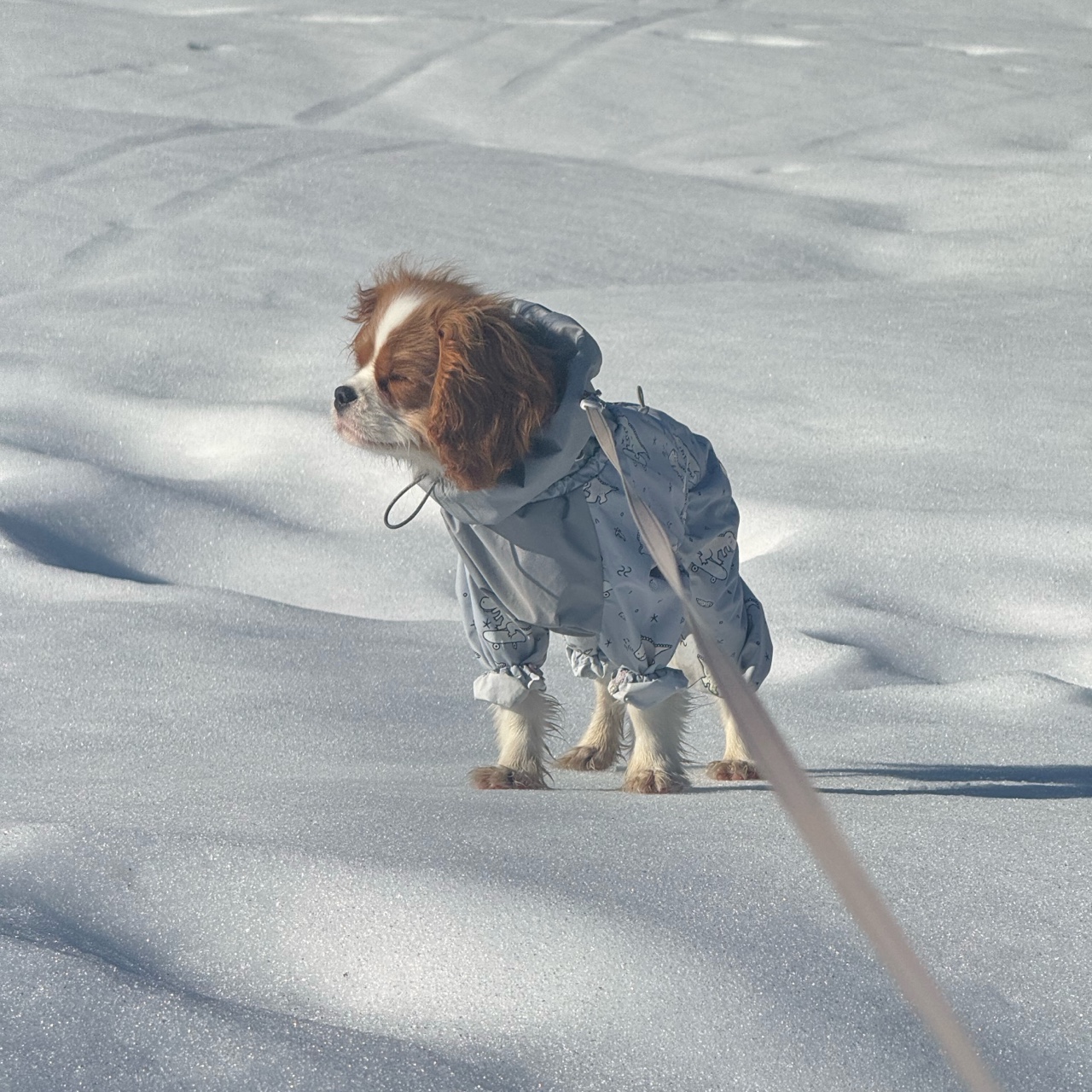 Светлана в LOOKY. . Греемся на солнышке…
