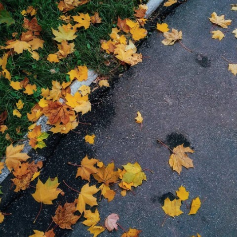 Rrr в LOOKY. #autumn. #autumn ☕