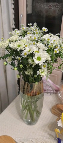 uliyagurina в LOOKY. . Ромашки зимой... 😊