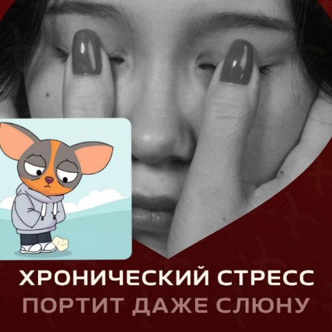 stroyneem_s_elenkoy в LOOKY в LOOKY. . Дорогие мои, давайте...