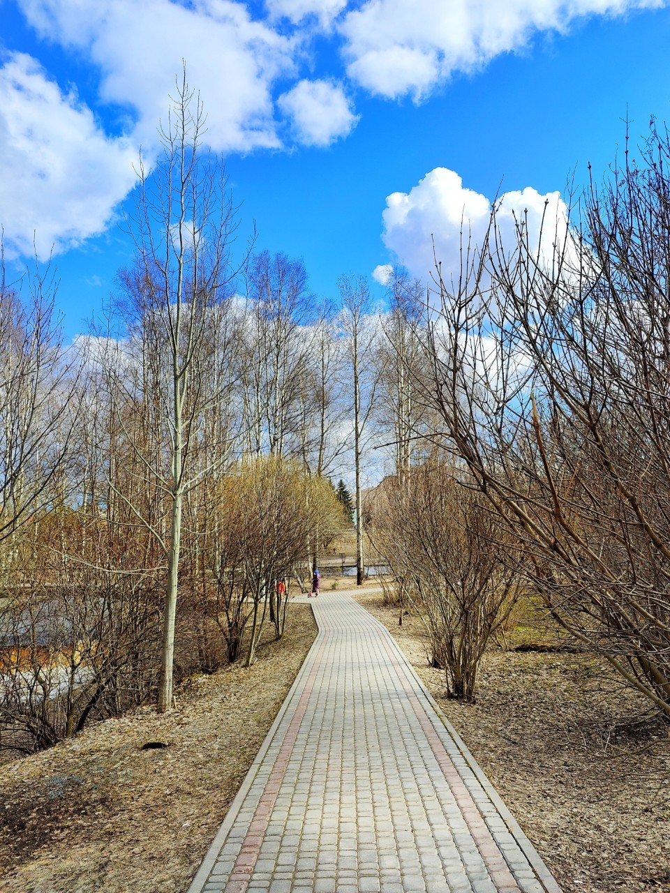 Виктор в LOOKY — фото 4