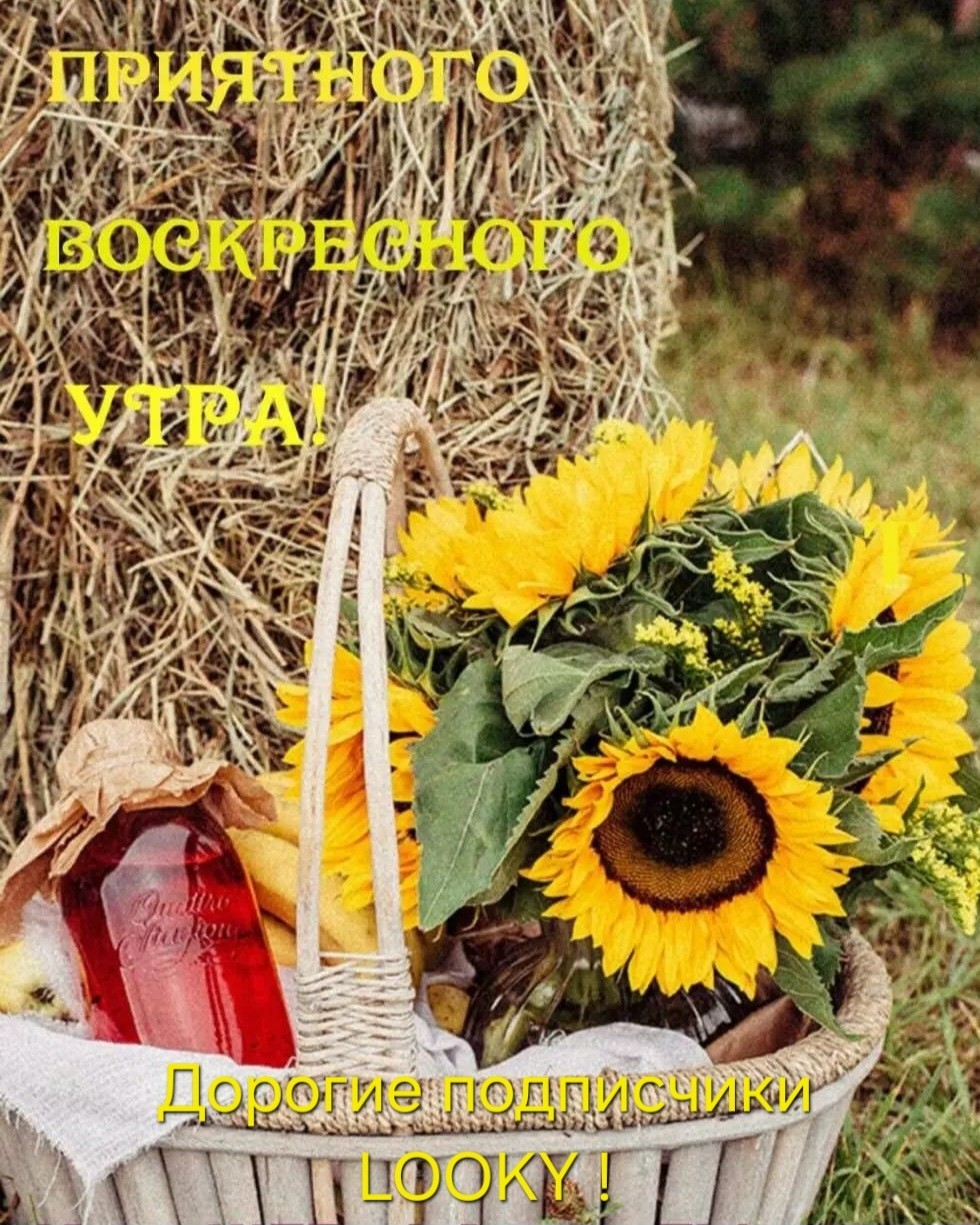  в LOOKY — публикация