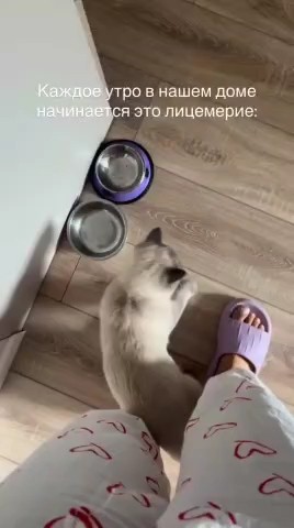 Хорошего вечера 🥰