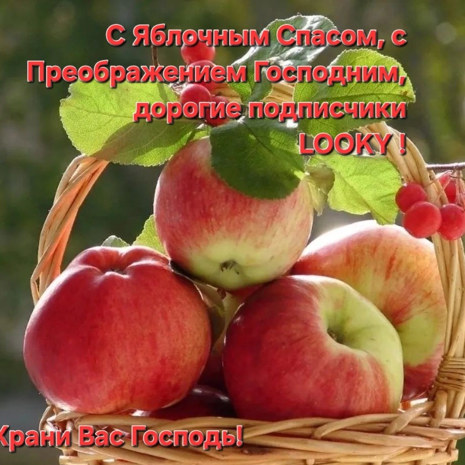 ДедМед в LOOKY — публикация
