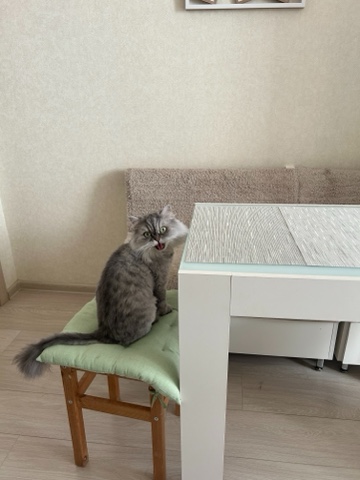 Looky_178741654779399 в LOOKY. . 