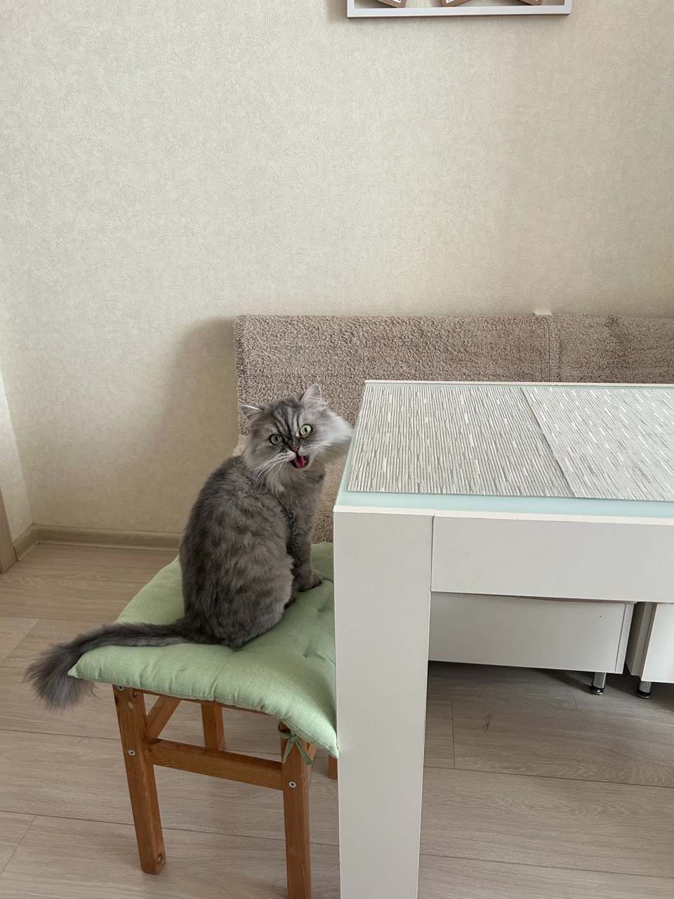 kartoshechkas в LOOKY — публикация