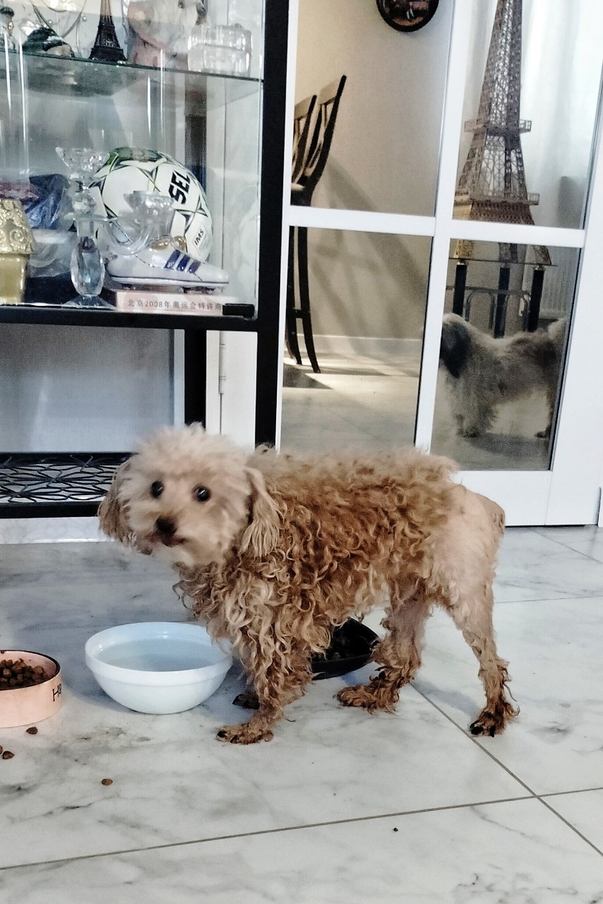 Vladova Tatiana в LOOKY. . 