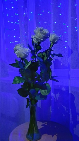 Looky_1720876132271 в LOOKY. . 