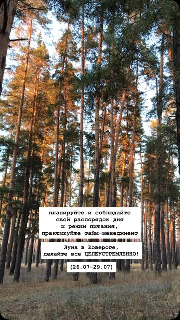 ridzevskaya в LOOKY — Вы знаете с кем поделитьcя 👌🏻

#looky_рилс #рилс #рилстрен