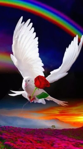 Looky_1703861240315 в LOOKY. . Значение имени Иония...