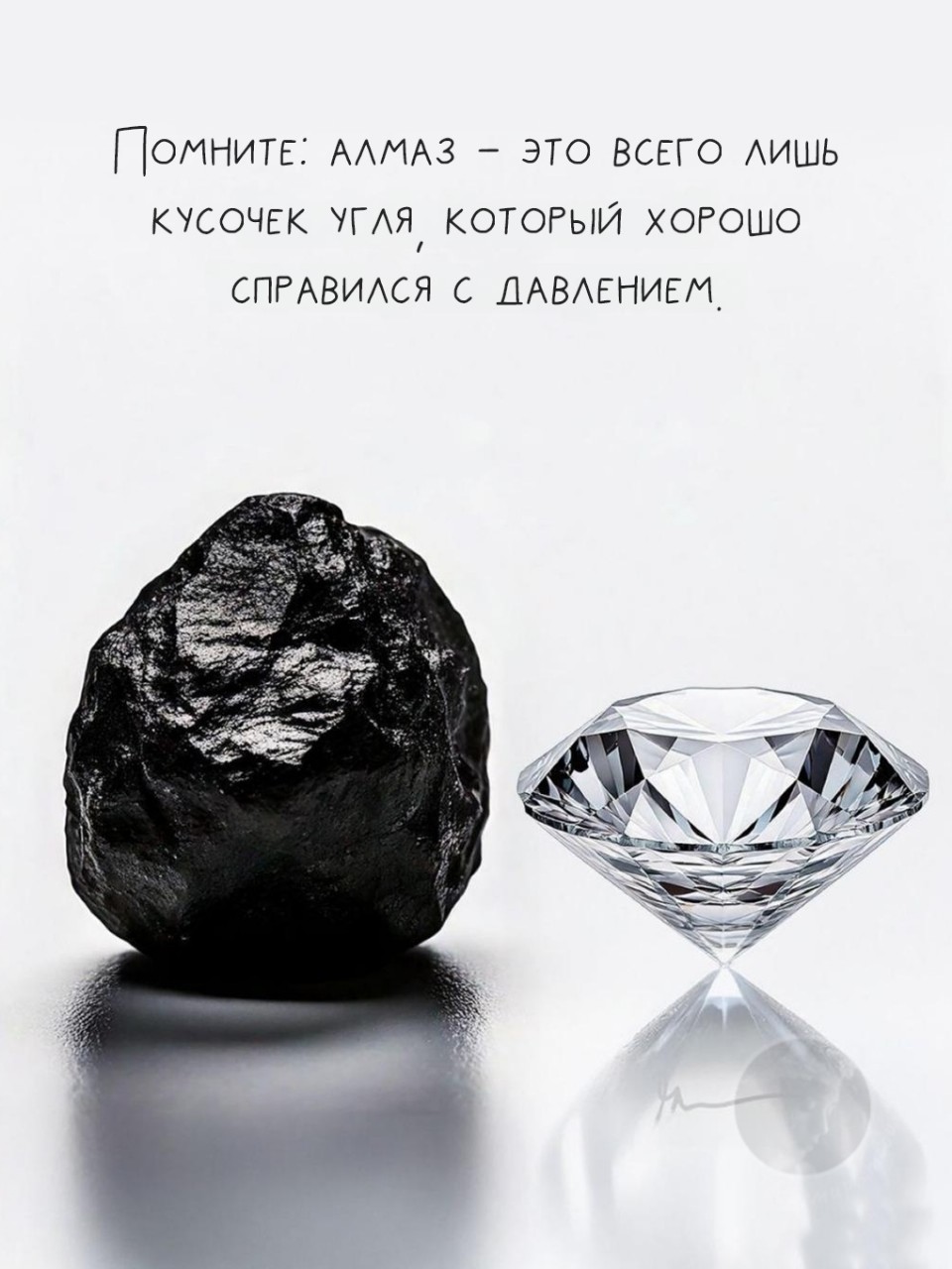 timyr.aleksandrov.78