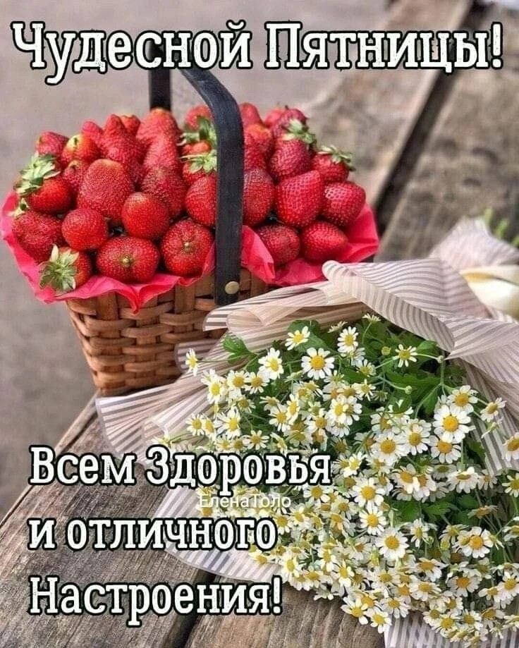 Сириус в LOOKY — публикация
