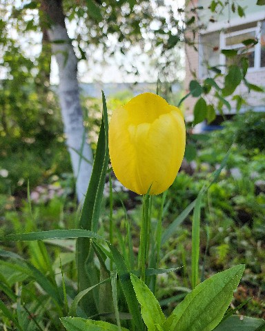 Looky_1682105969882 в LOOKY. . Доброе утро) ) 