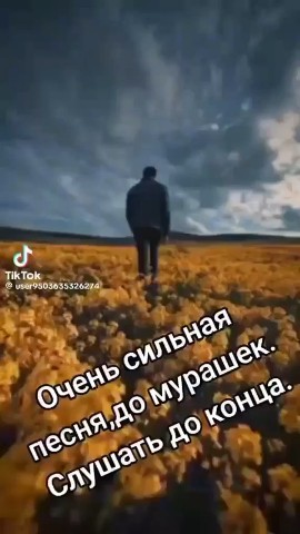  в LOOKY — публикация